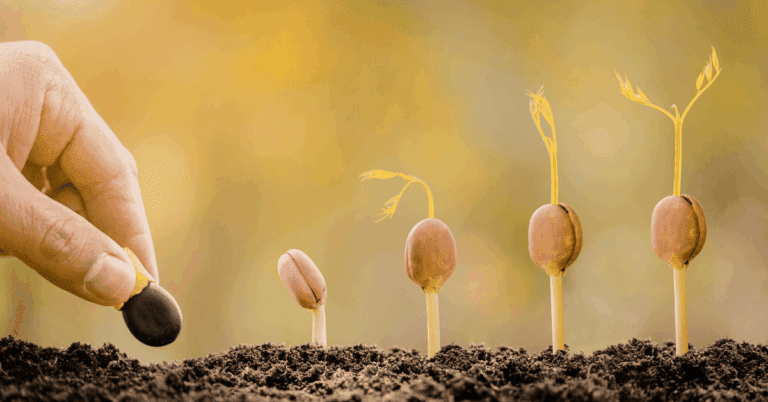 Q1 2026 Reflections: From Early Traction to Scalable Foundations