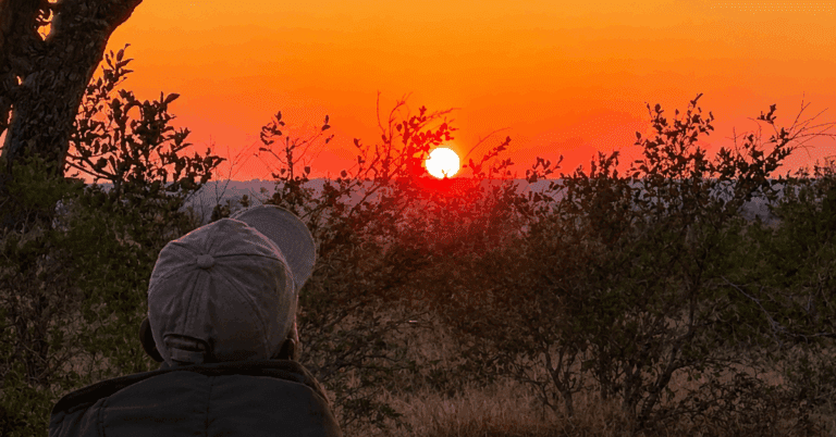person staring at sunrise