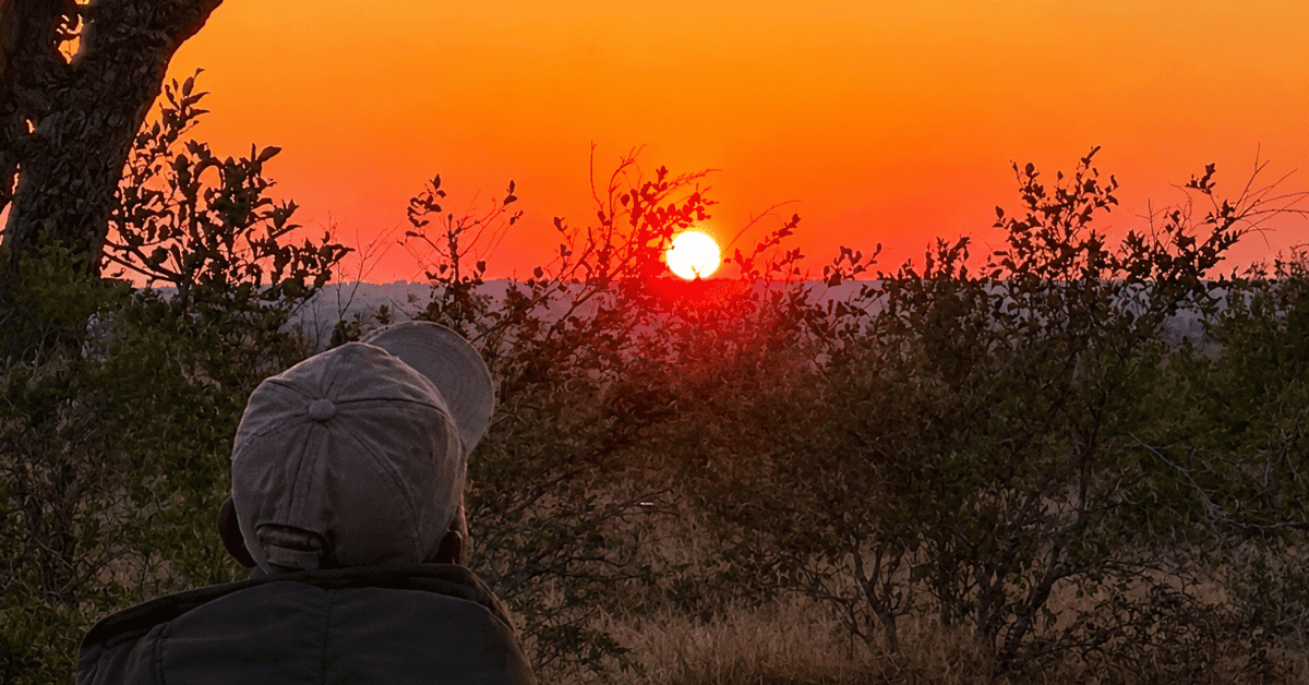 person staring at sunrise