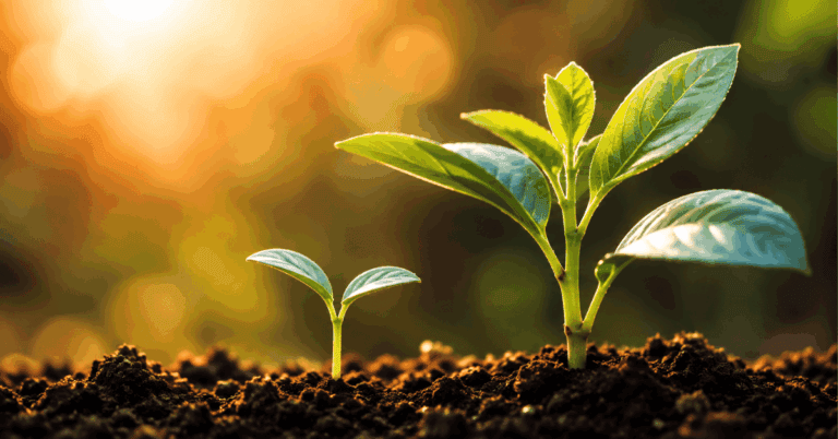 Advancement, Not Enrollment: The Ten Founders Who Earned Their Way Into Tier 2